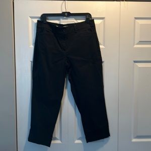 LOFT Outlet cropped chino pants sz 12/14